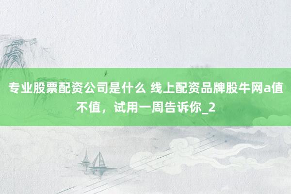 专业股票配资公司是什么 线上配资品牌股牛网a值不值，试用一周告诉你_2