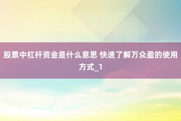 股票中杠杆资金是什么意思 快速了解万众盈的使用方式_1