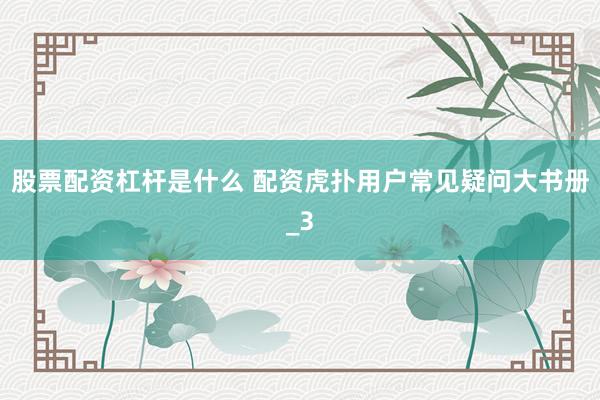股票配资杠杆是什么 配资虎扑用户常见疑问大书册_3