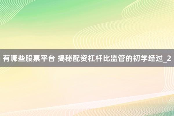 有哪些股票平台 揭秘配资杠杆比监管的初学经过_2