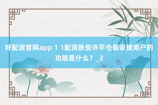 好配资官网app 1 1配资跌些许平仓最吸援用户的功能是什么？_2