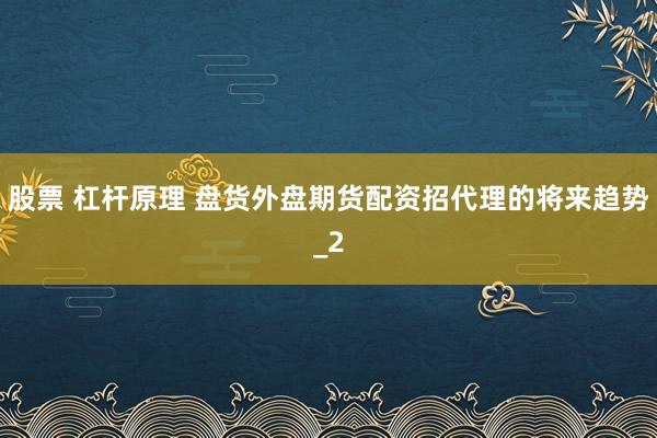 股票 杠杆原理 盘货外盘期货配资招代理的将来趋势_2