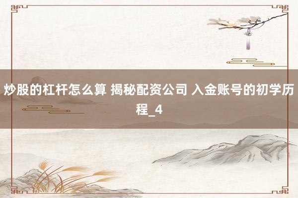 炒股的杠杆怎么算 揭秘配资公司 入金账号的初学历程_4