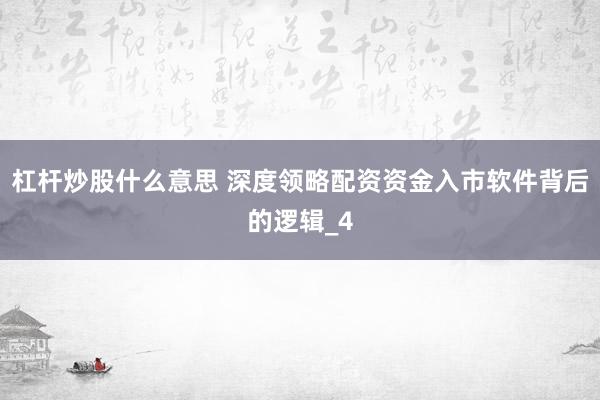 杠杆炒股什么意思 深度领略配资资金入市软件背后的逻辑_4