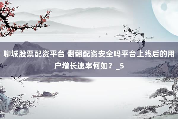 聊城股票配资平台 翻翻配资安全吗平台上线后的用户增长速率何如？_5