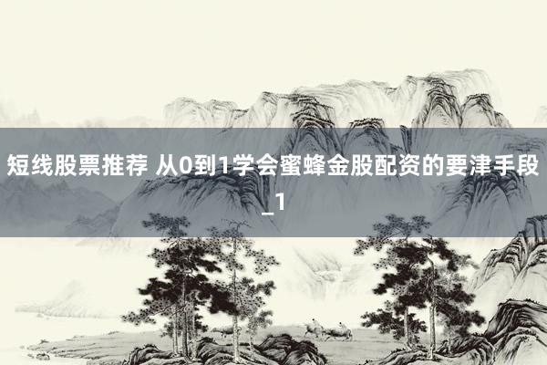 短线股票推荐 从0到1学会蜜蜂金股配资的要津手段_1