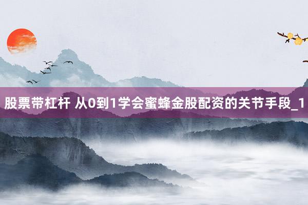 股票带杠杆 从0到1学会蜜蜂金股配资的关节手段_1