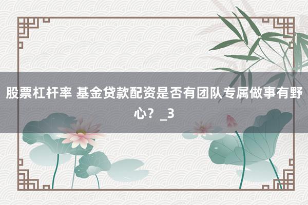 股票杠杆率 基金贷款配资是否有团队专属做事有野心？_3