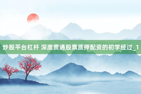 炒股平台杠杆 深度贯通股票质押配资的初学经过_1