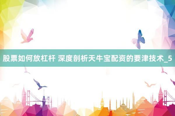 股票如何放杠杆 深度剖析天牛宝配资的要津技术_5