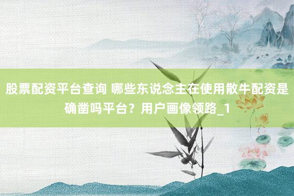 股票配资平台查询 哪些东说念主在使用散牛配资是确凿吗平台？用户画像领路_1