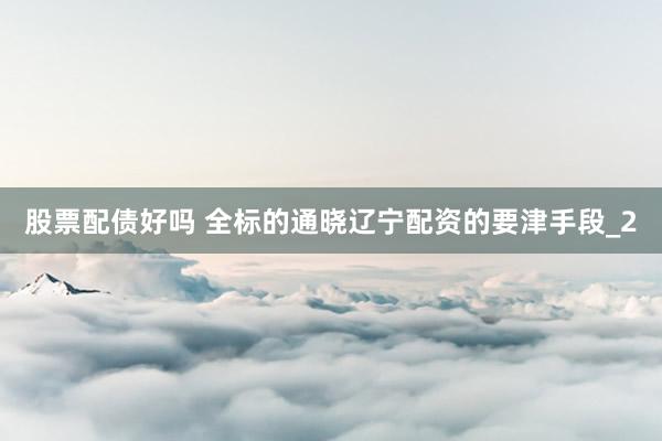 股票配债好吗 全标的通晓辽宁配资的要津手段_2