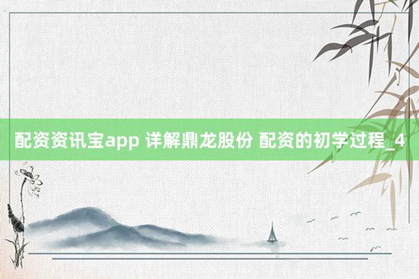 配资资讯宝app 详解鼎龙股份 配资的初学过程_4