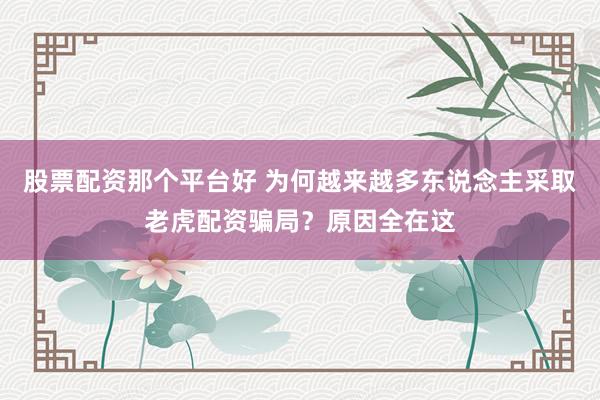 股票配资那个平台好 为何越来越多东说念主采取老虎配资骗局？原因全在这