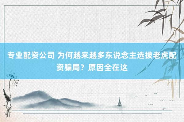 专业配资公司 为何越来越多东说念主选拔老虎配资骗局？原因全在这
