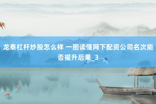 龙泰杠杆炒股怎么样 一图读懂网下配资公司名次能否擢升后果_3