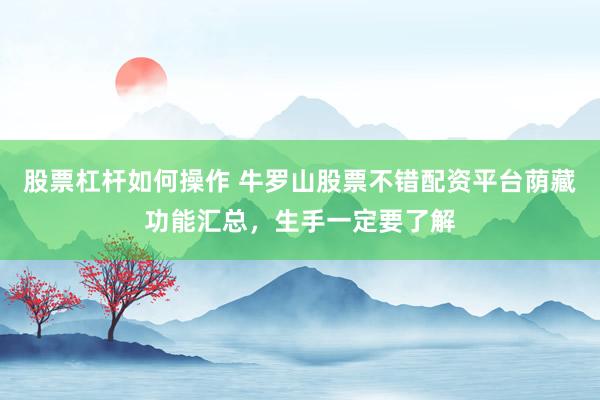 股票杠杆如何操作 牛罗山股票不错配资平台荫藏功能汇总，生手一定要了解