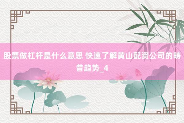 股票做杠杆是什么意思 快速了解黄山配资公司的畴昔趋势_4