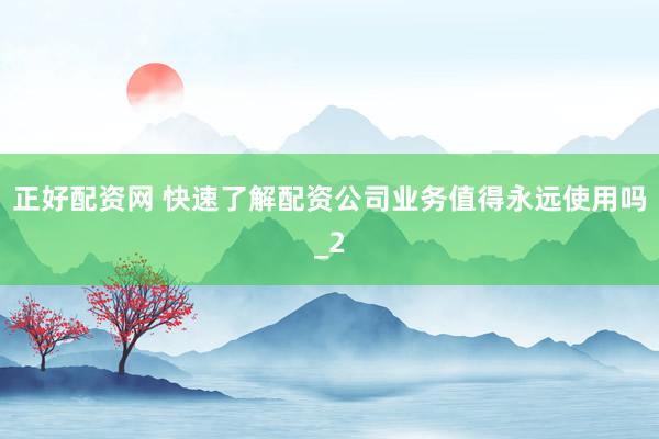 正好配资网 快速了解配资公司业务值得永远使用吗_2