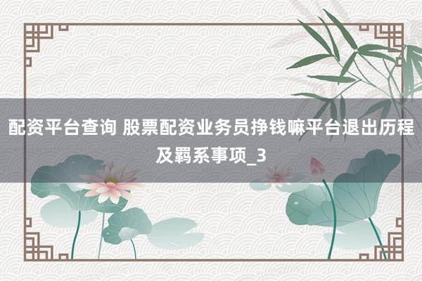 配资平台查询 股票配资业务员挣钱嘛平台退出历程及羁系事项_3