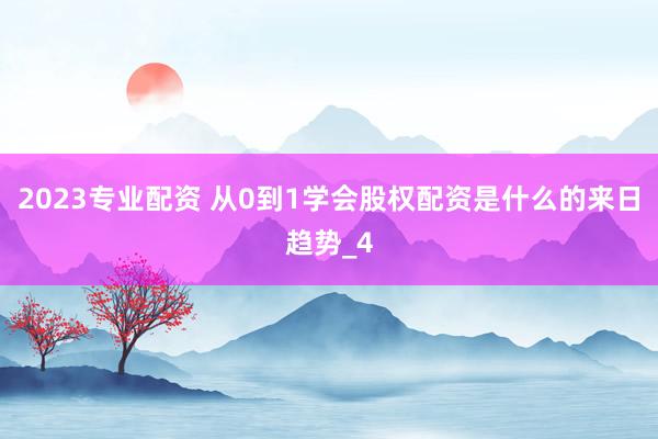 2023专业配资 从0到1学会股权配资是什么的来日趋势_4