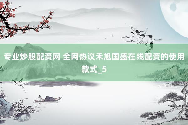 专业炒股配资网 全网热议禾旭国盛在线配资的使用款式_5
